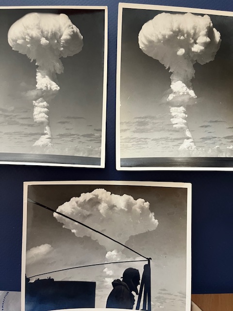 Sally Chicken tweet media