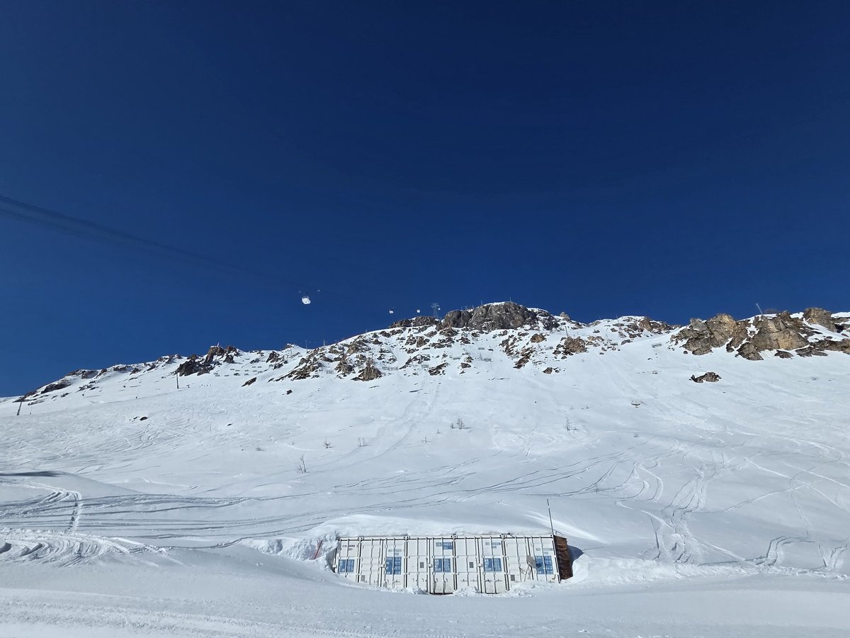 WizzzDom 🇨🇦 tweet media