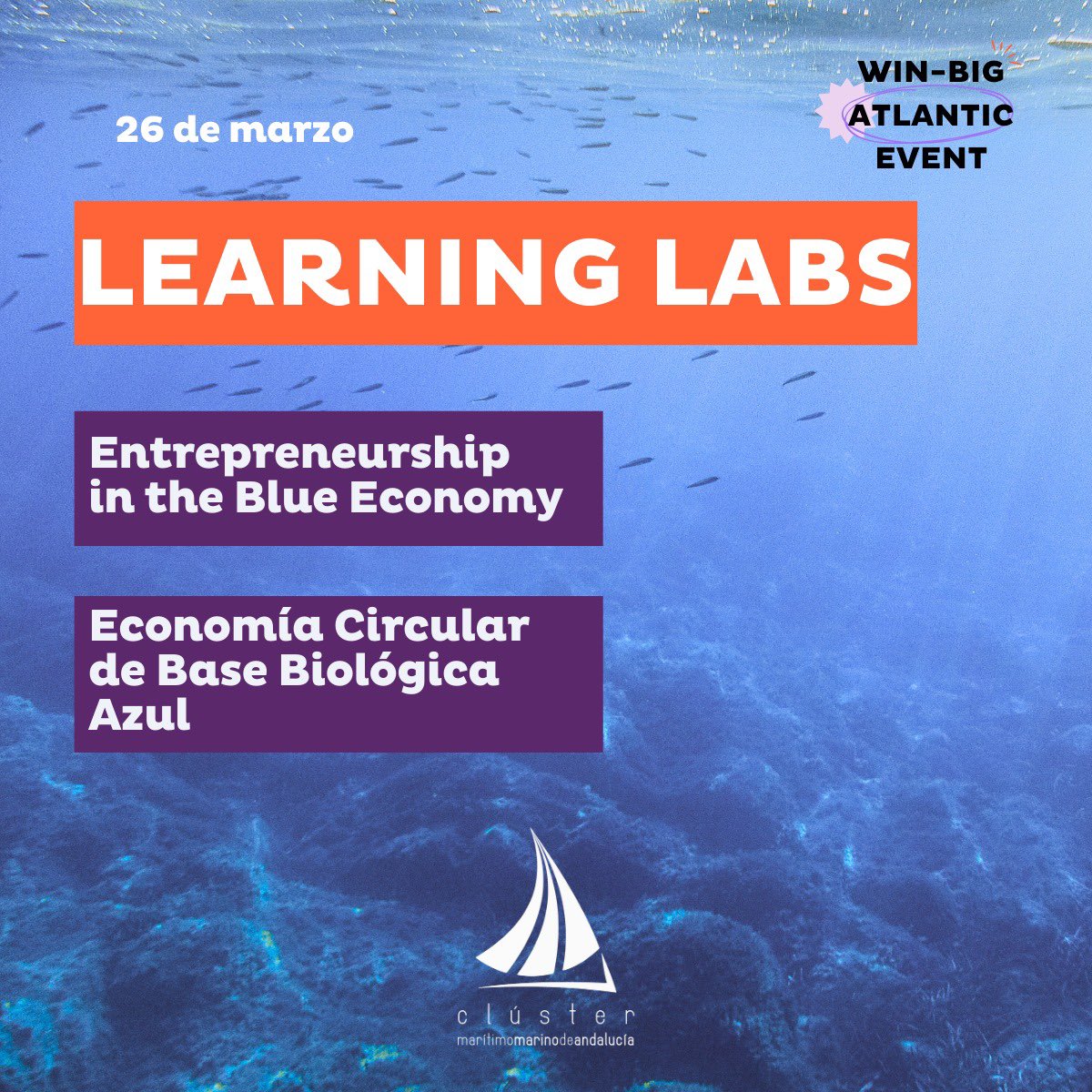 Clúster Marítimo-Marino de Andalucía tweet media