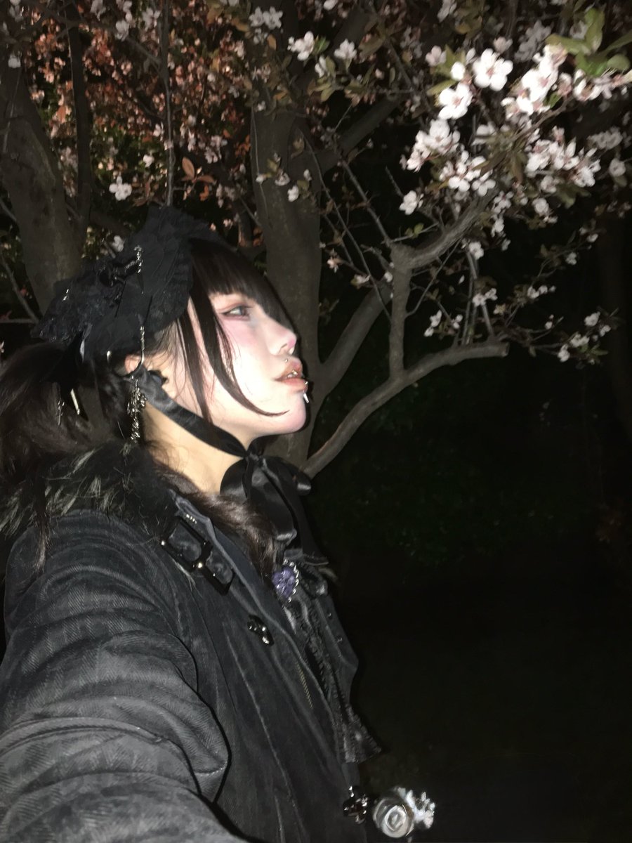 寂滅為楽 tweet media