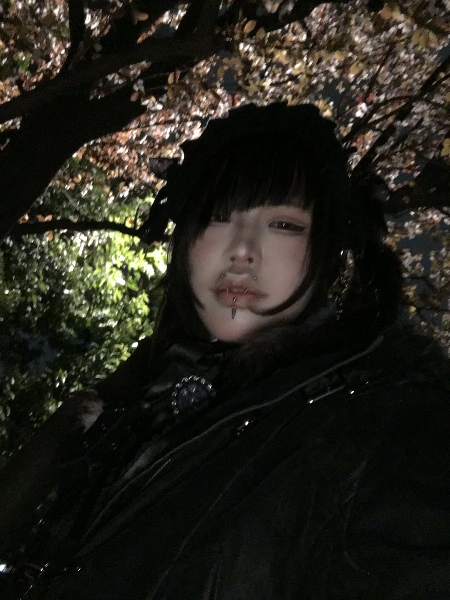 寂滅為楽 tweet media