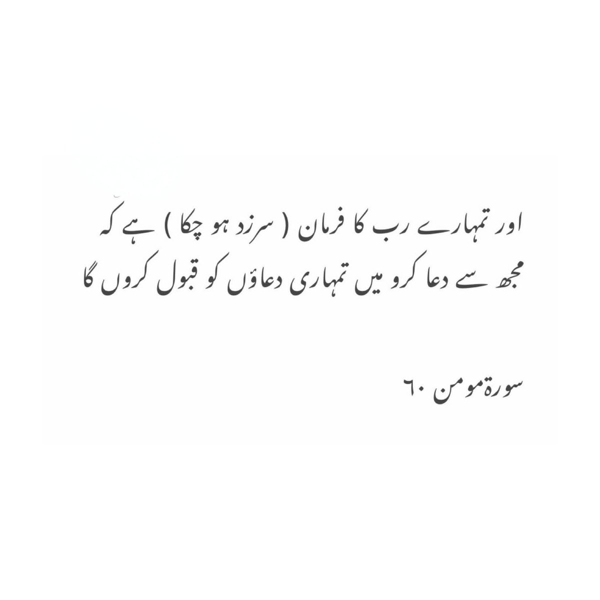 FaTimA🐦 tweet media