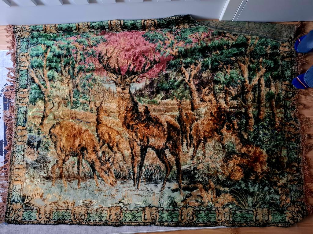 Lord Jim ⚓ tweet media