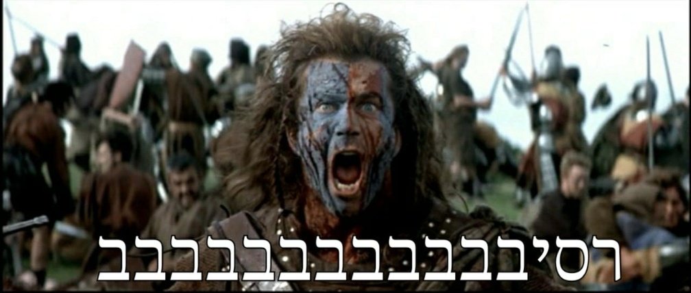 MacroKurd tweet media