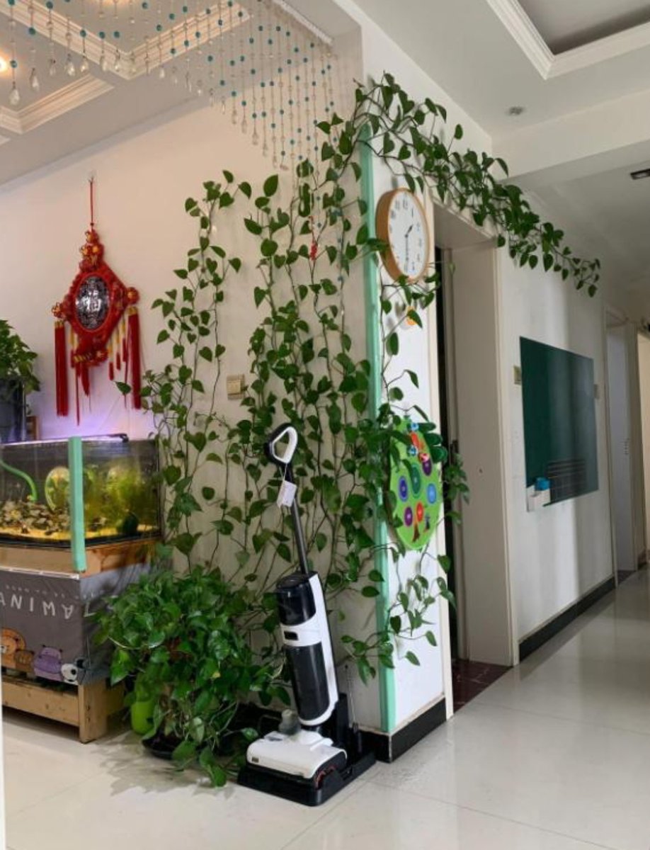 Elbachir Anir tweet media