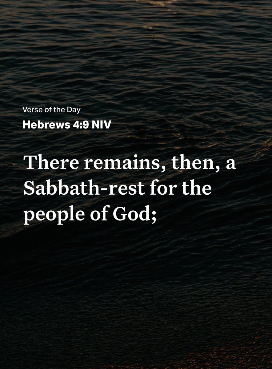 Tim Straley tweet media