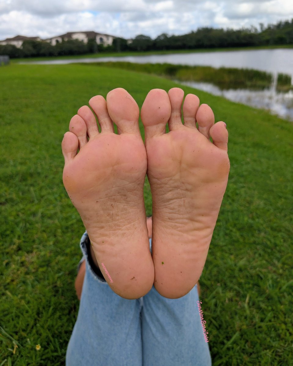 SunshineBareSoles tweet media