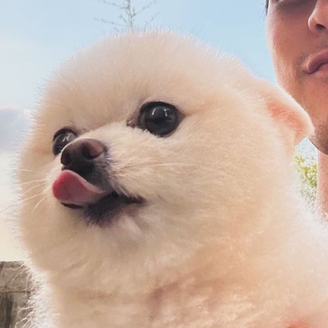 Chevy Baldwin tweet media