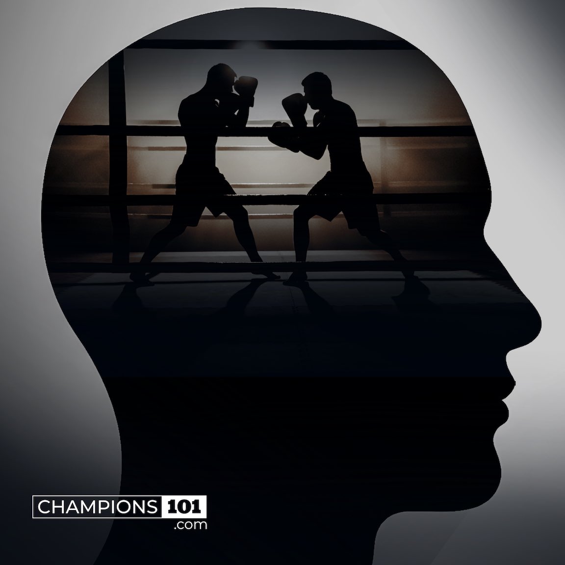 Travis Daugherty tweet media