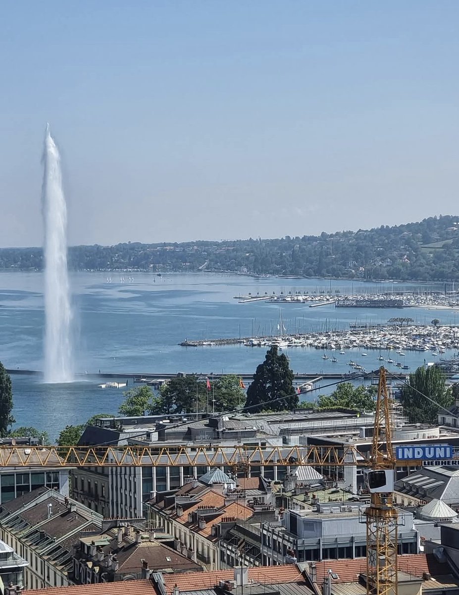 ᠠᠶᠤᠰᠢ ᠪᠠᠲᠤ ᠡᠷᠳᠡᠨᠢ tweet media