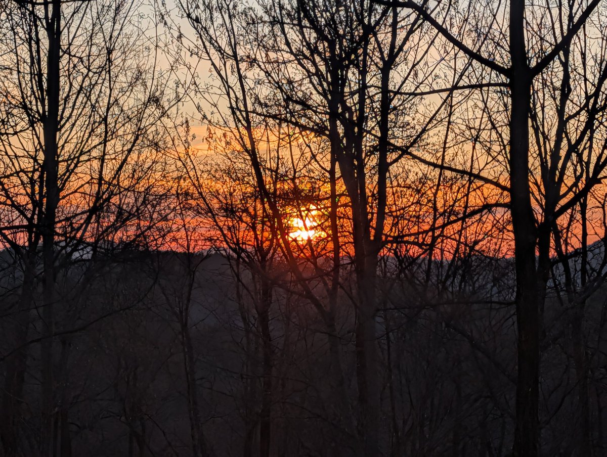 Jeff McDaris tweet media