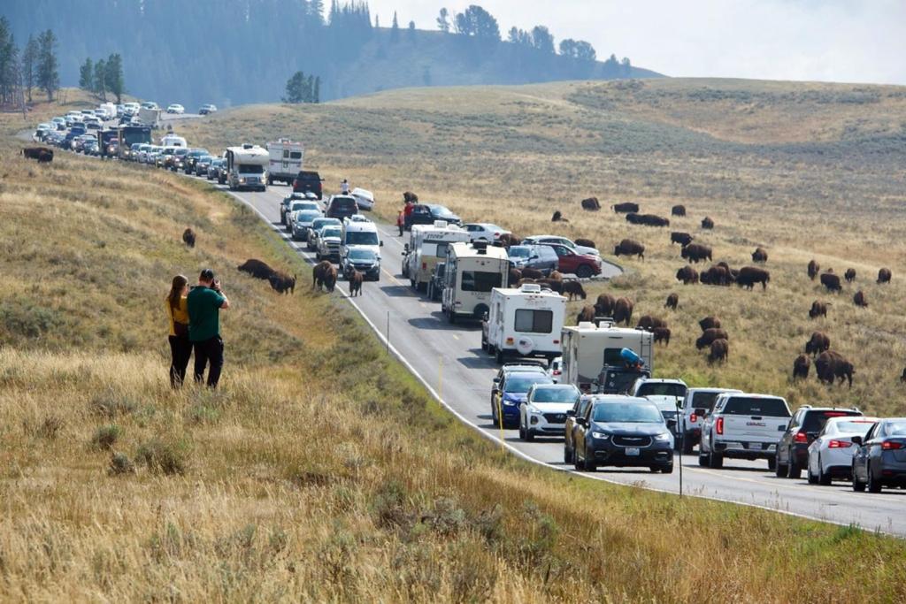 MRS. MASSACRE tweet media