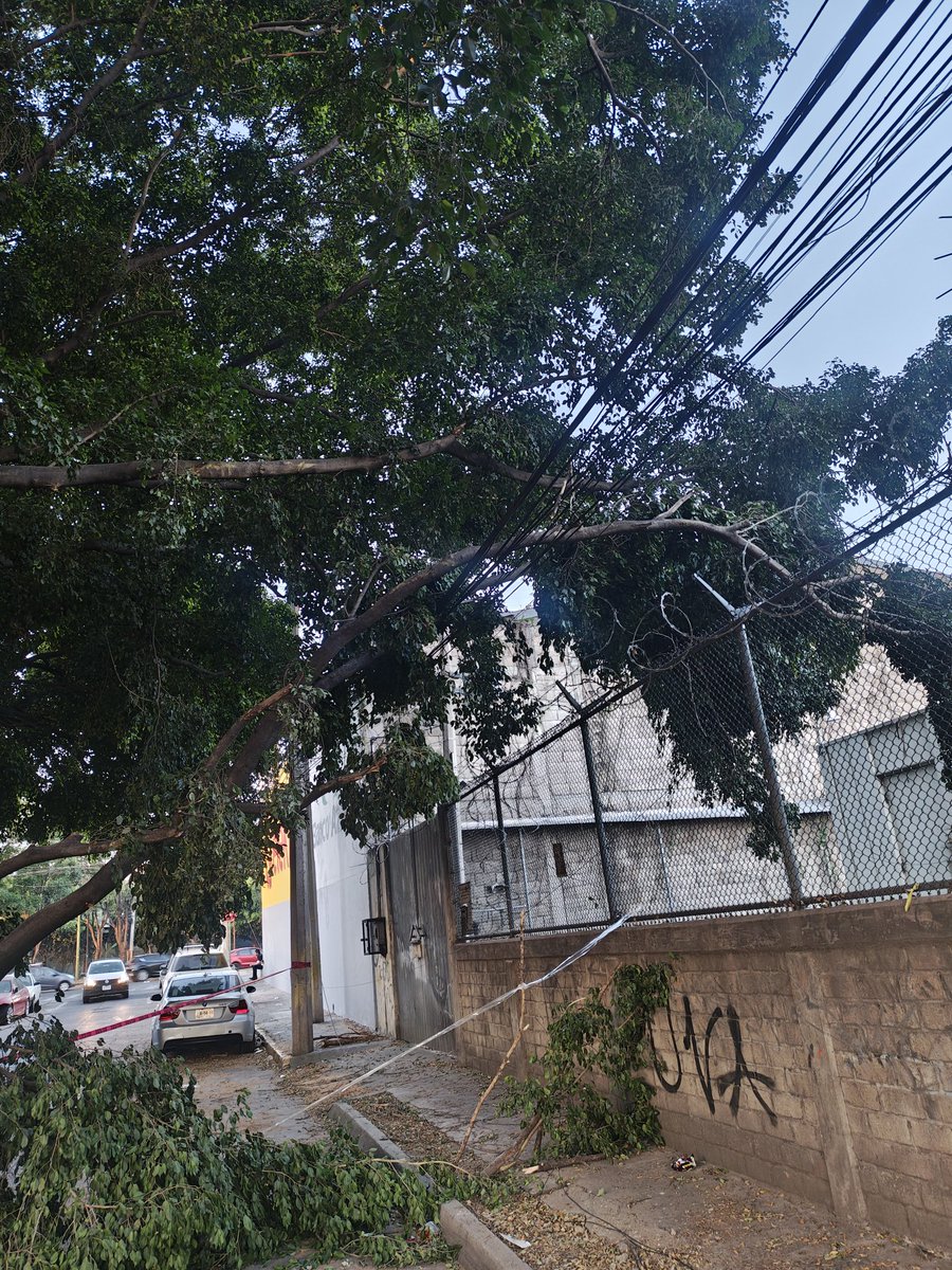 herfvl's tweet photo. @CFE_Contigo nos pueden apoyar tenemos sin energía desde ayer a las 11 am y no se han presentado el reporte está levantado. Reporte X1515998673 

agradezco su atención. https://t.co/Ao2i4PunKB
