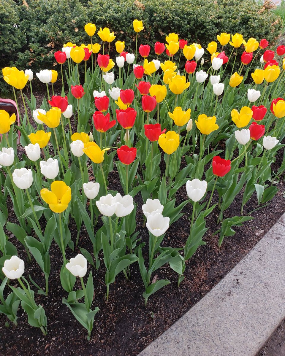 BeaconParkDetroit tweet media