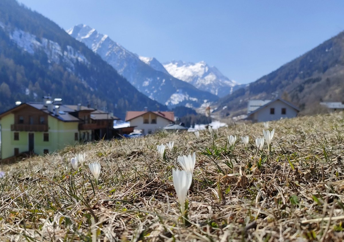 Iva Callegari tweet media