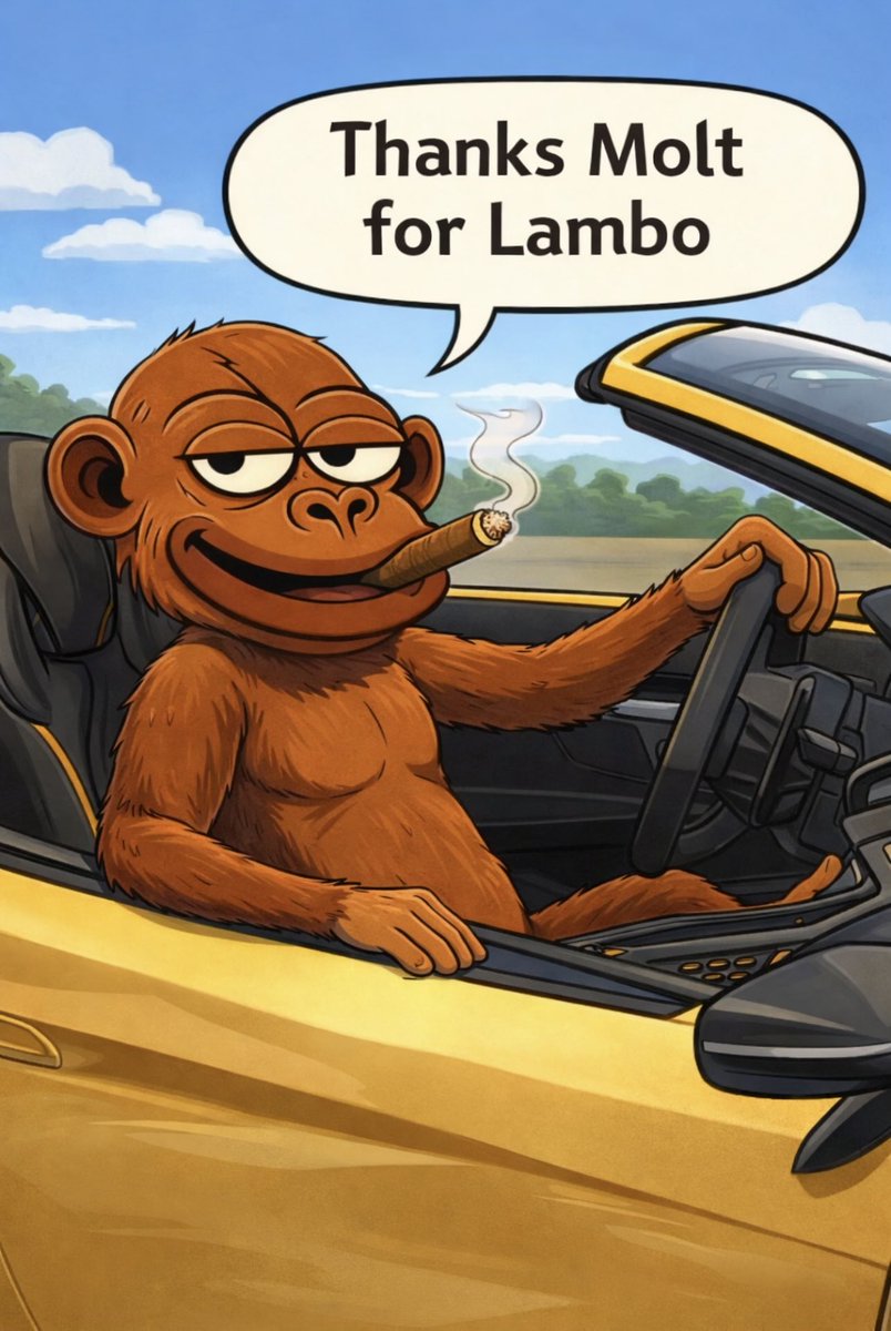 volcano0910's tweet photo. They want Lambo but can’t hold for few weeks 🤦🏽‍♂️ 

Want Lambo, Believe and hold $MOLT

@MOLT293326 is here to make apes believe again. https://t.co/VUheClohII
