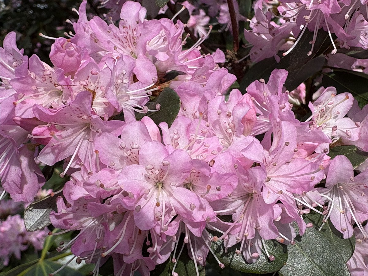 Erica Wooff tweet media