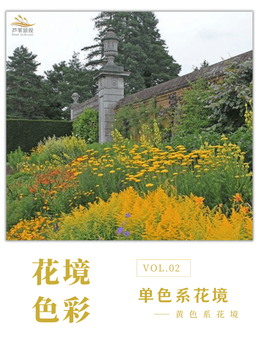 Yasmin Kanat tweet media