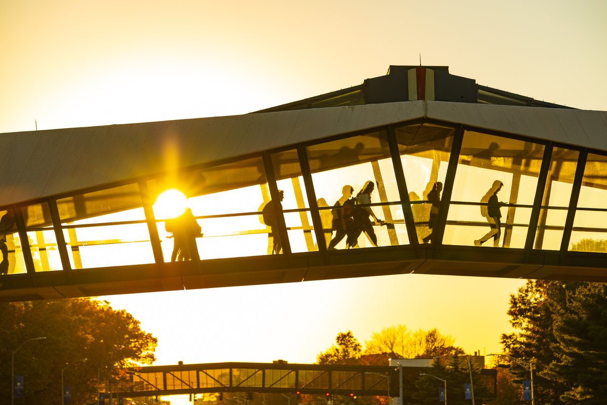 Hofstra University tweet media