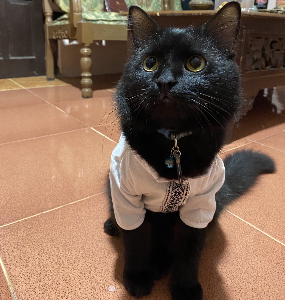 es teh anget tweet media