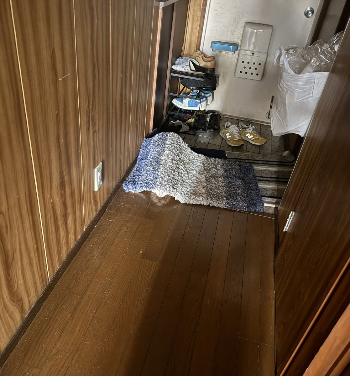 ノビター（5匹家族） tweet media