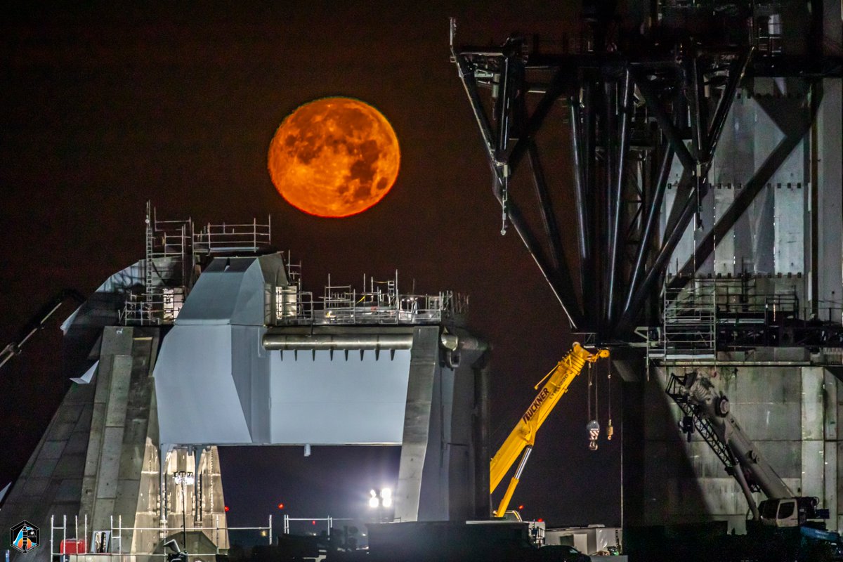 Starbase Surfer tweet media