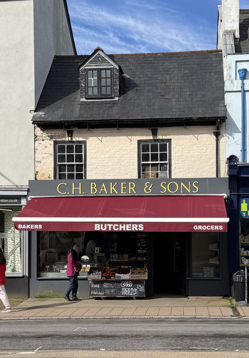 Barbara🦕 tweet media