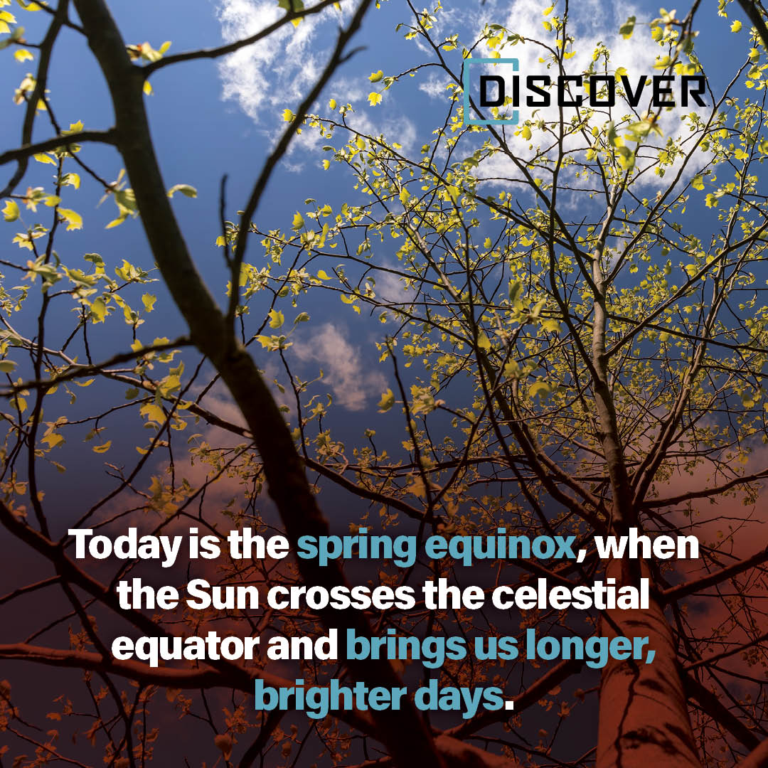 Discover Magazine tweet media