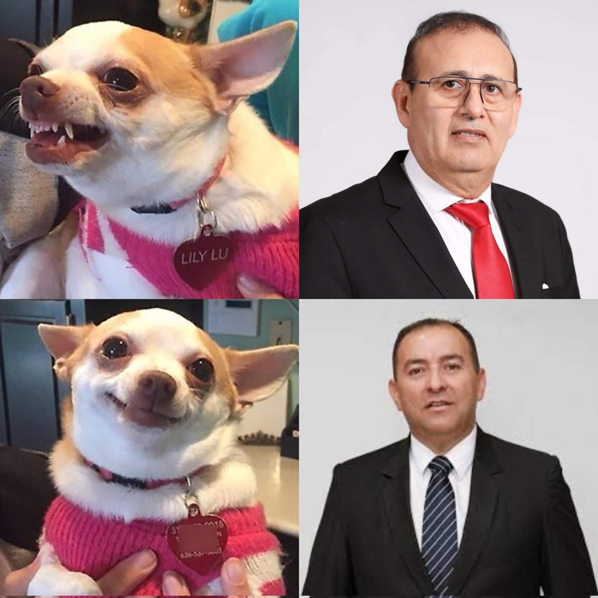 La "Bancada Democrática":

Cuándo es Colorado / Cuándo es Liberal