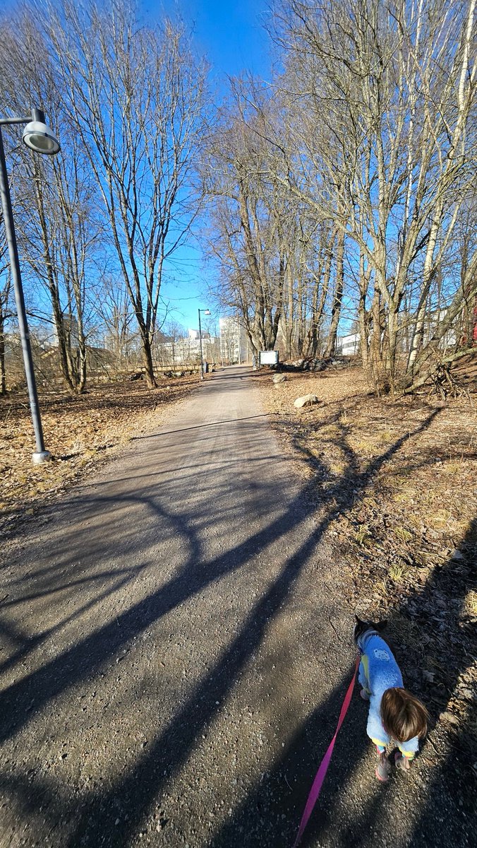 🔻⚢ Public Universal Friend ⚢🔻 tweet media