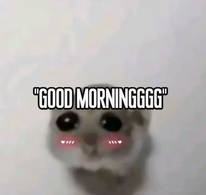 community bf | alist tweet media