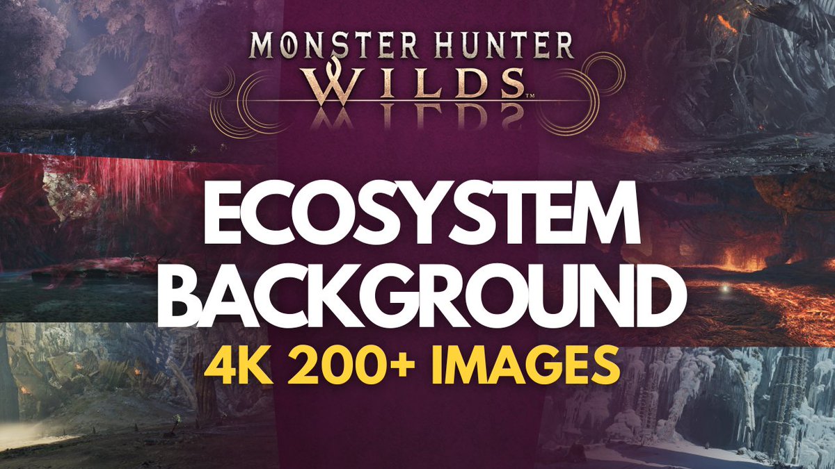 Gaudium | Field Guide tweet media