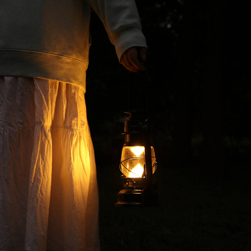 Larisa Ardelean tweet media