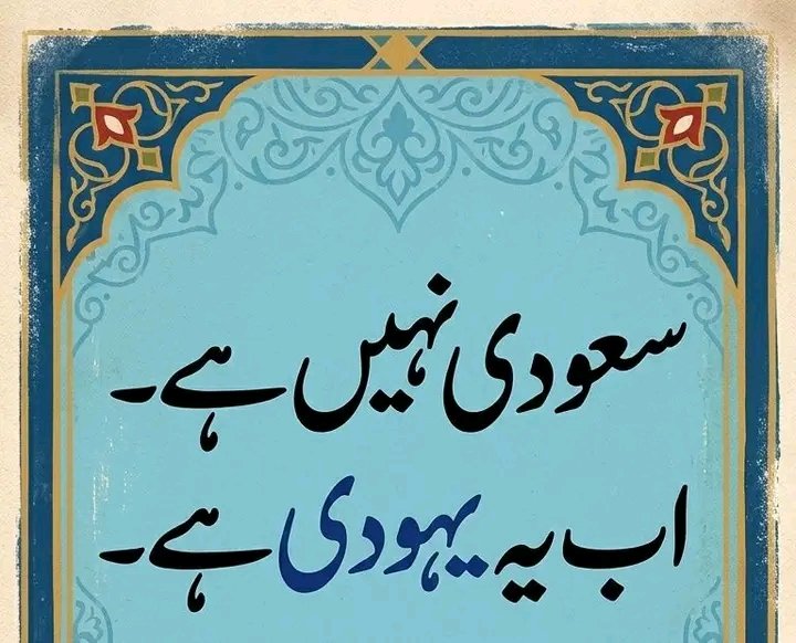 ALIZA🇵🇰 tweet media