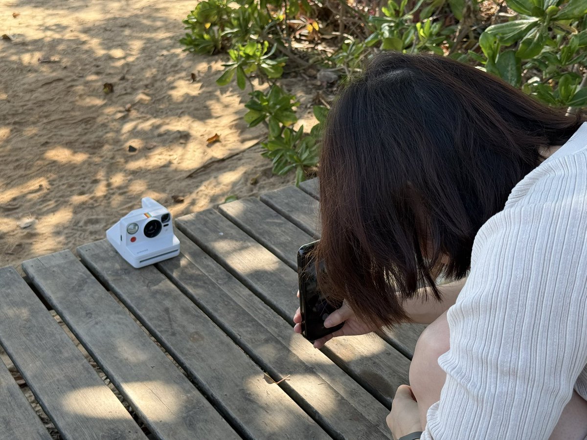 Thom Fang tweet media