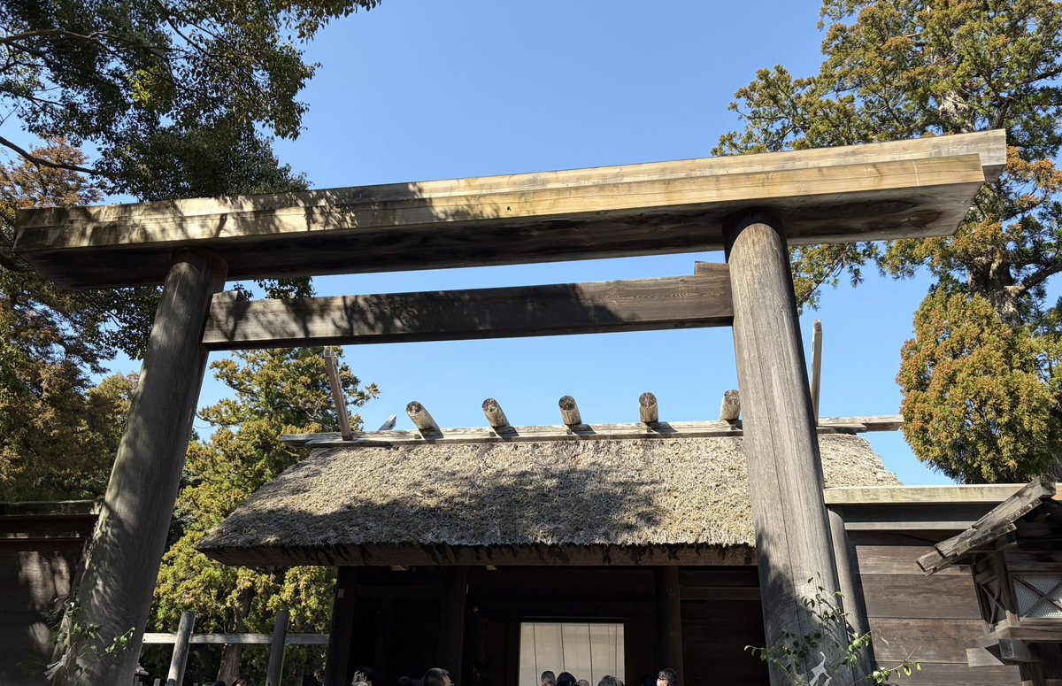 Jelia@✈️🎹♨️🐱☕️🥐🇩🇪🇪🇸好き tweet media