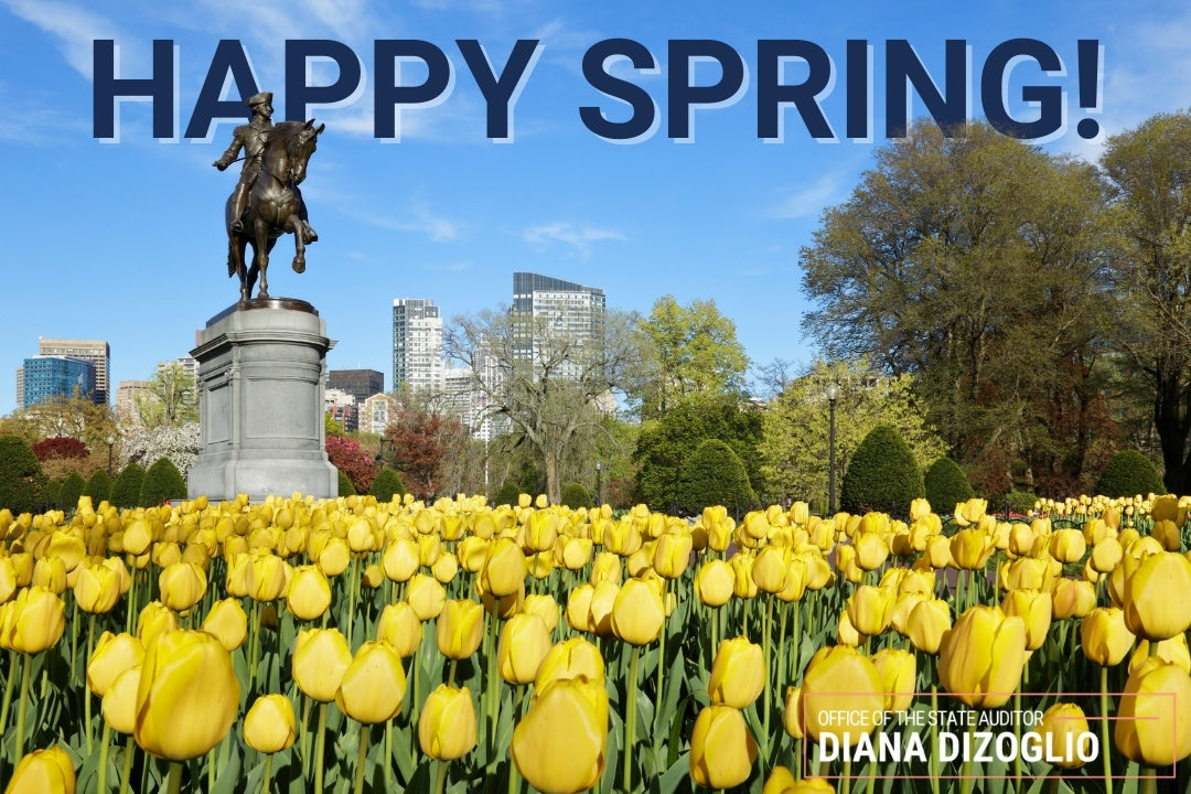 Diana DiZoglio tweet media