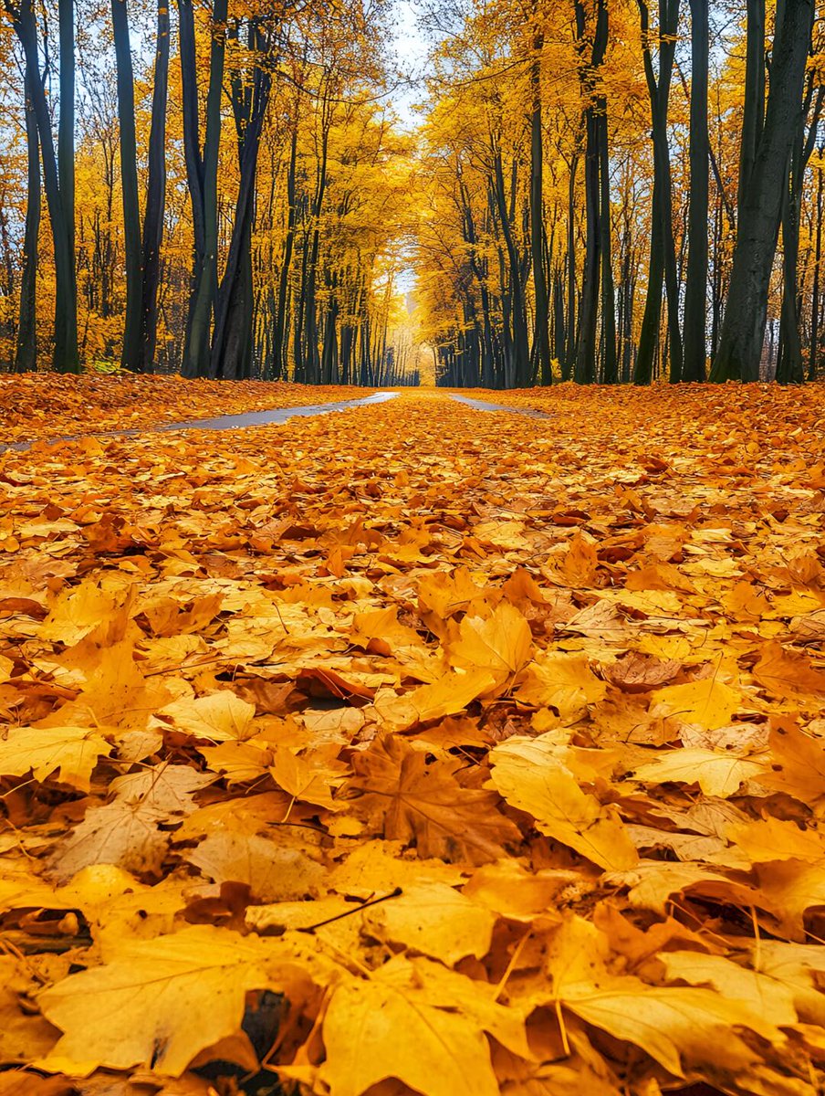 あれこれそれどれ？ tweet media