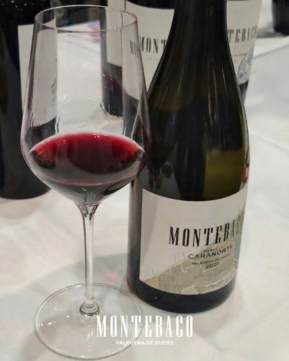 BODEGAS MONTEBACO tweet media
