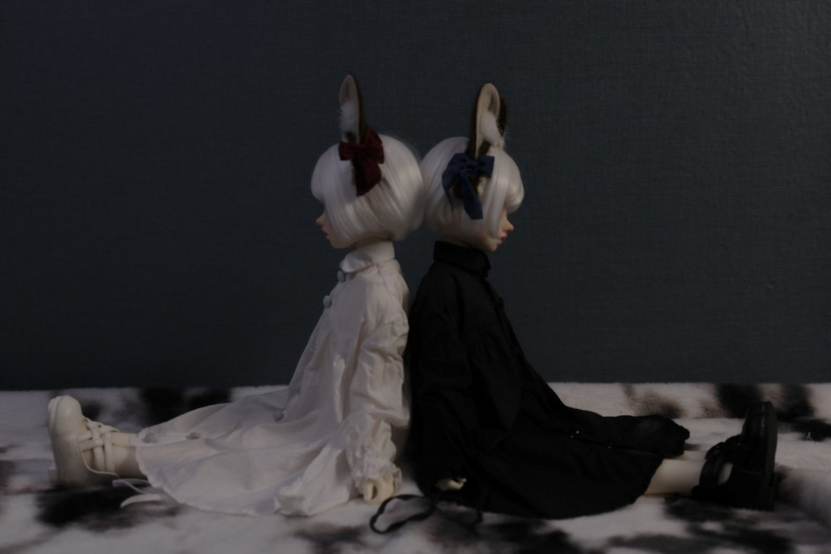 Anemone@受注作業中 tweet media