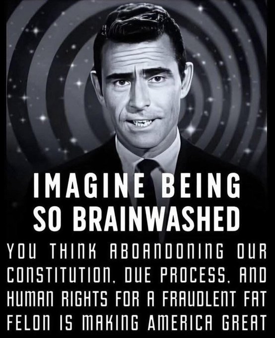 ThunderEagle tweet media