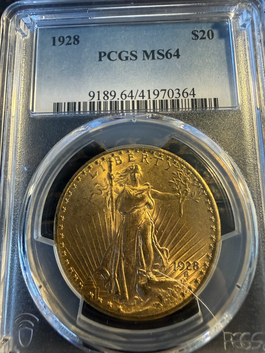 HughStiel/DogeHeadCoin $DHC tweet media