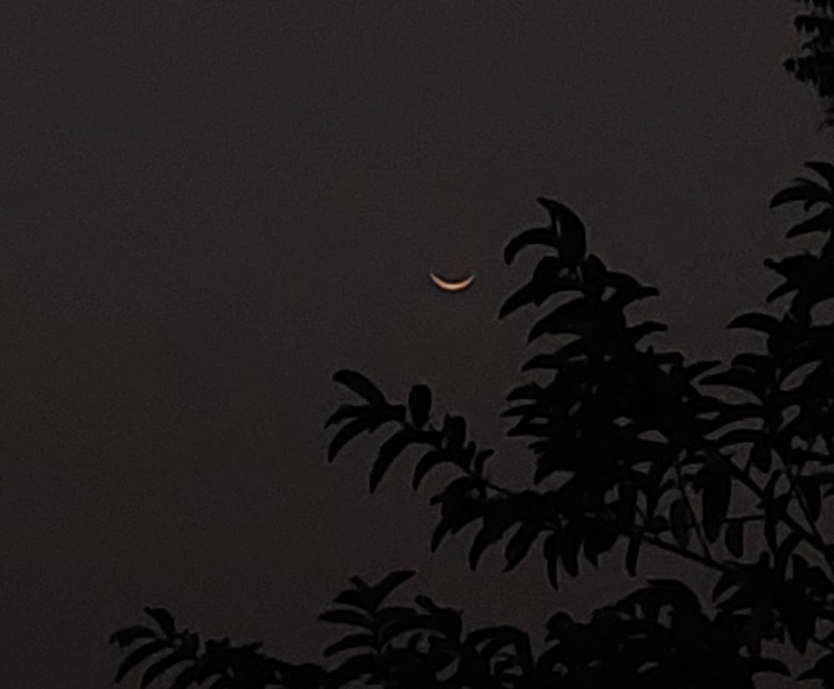 Online Income Way 21 tweet media