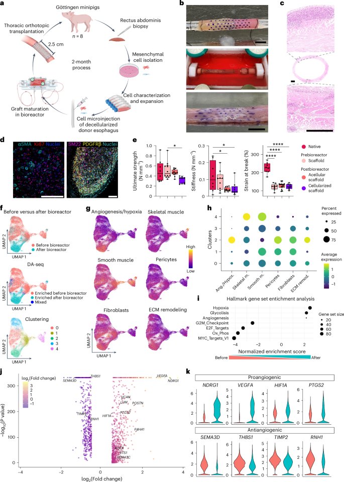 Nature Biotechnology tweet media