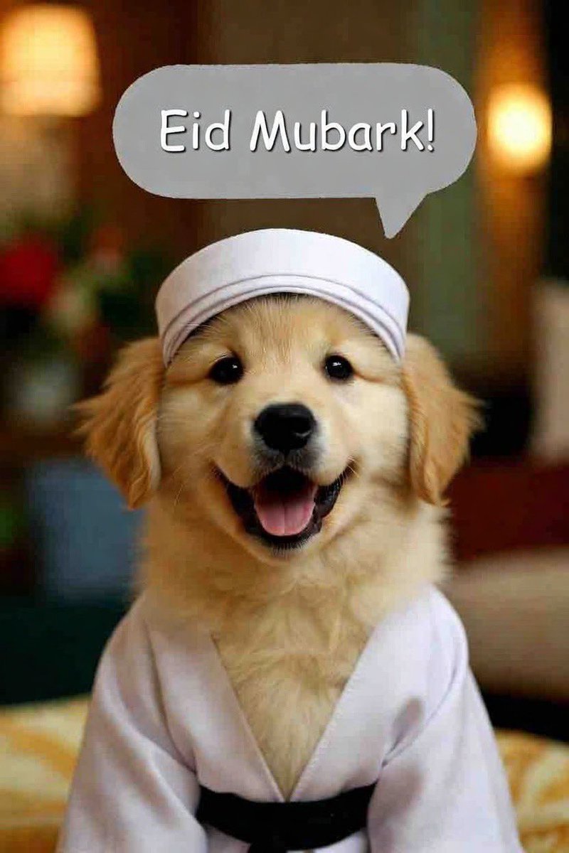 Faustian Augustus tweet media