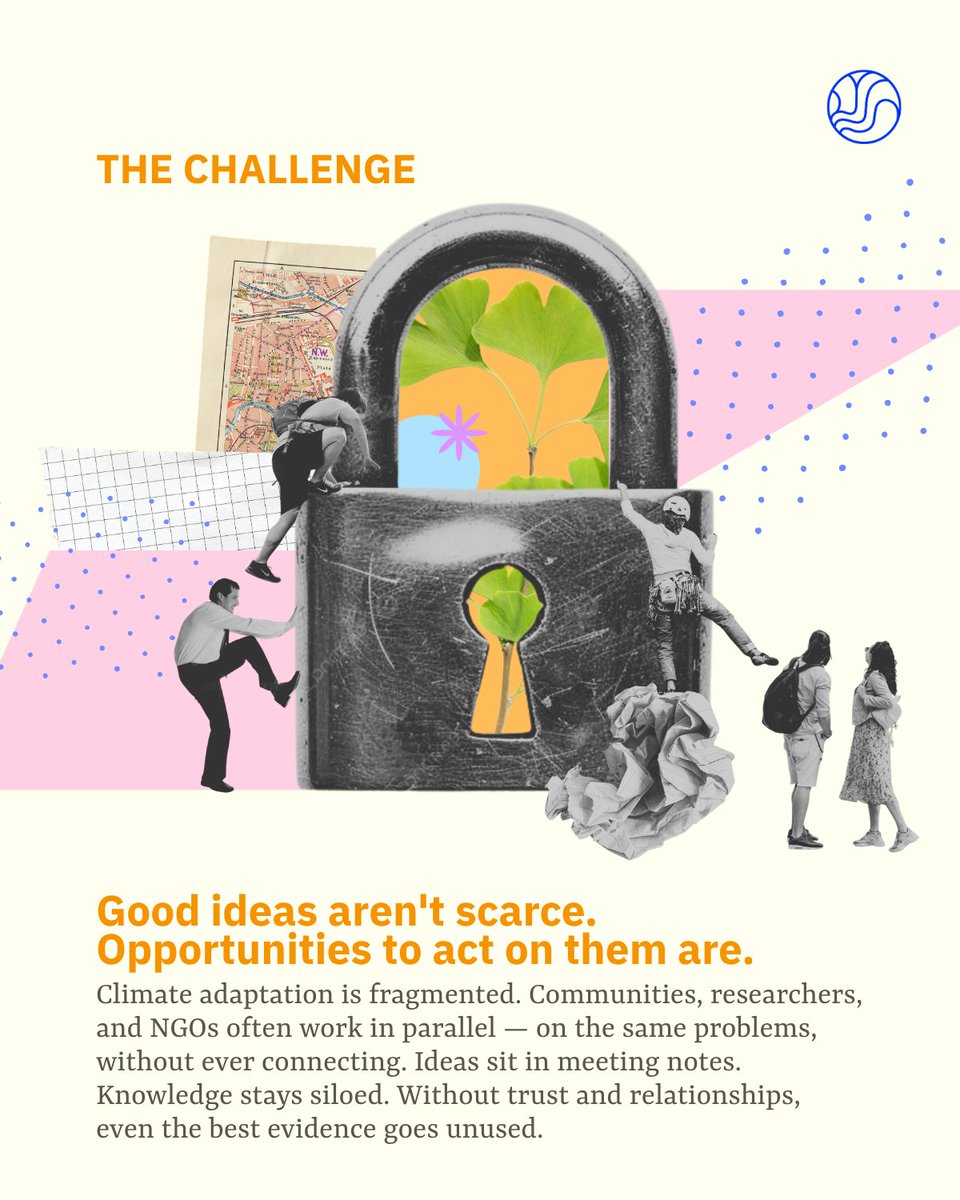 Transitions Research tweet media