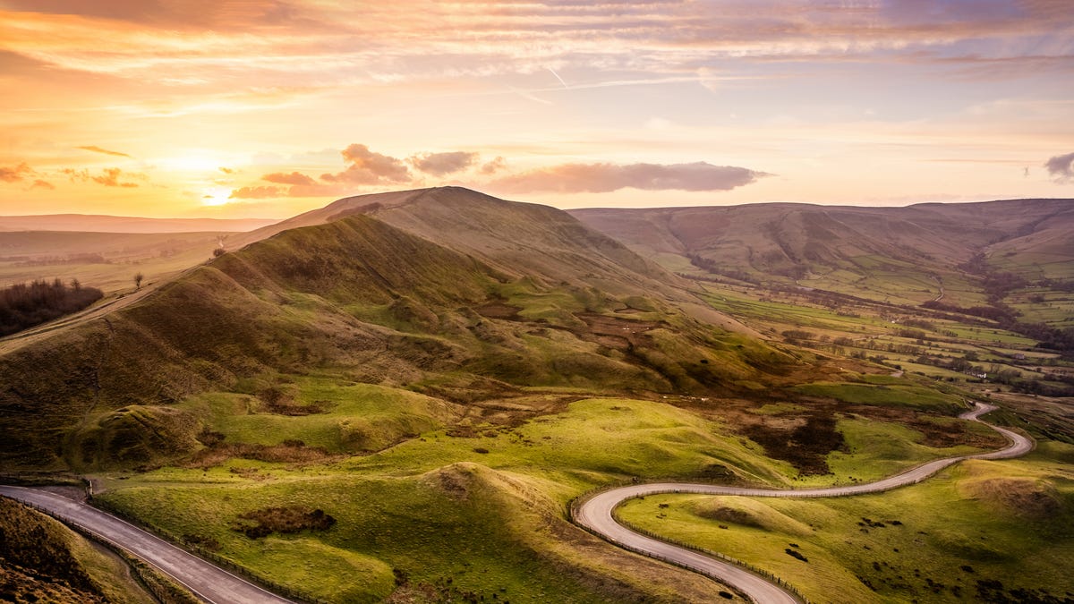 BritishPie tweet media