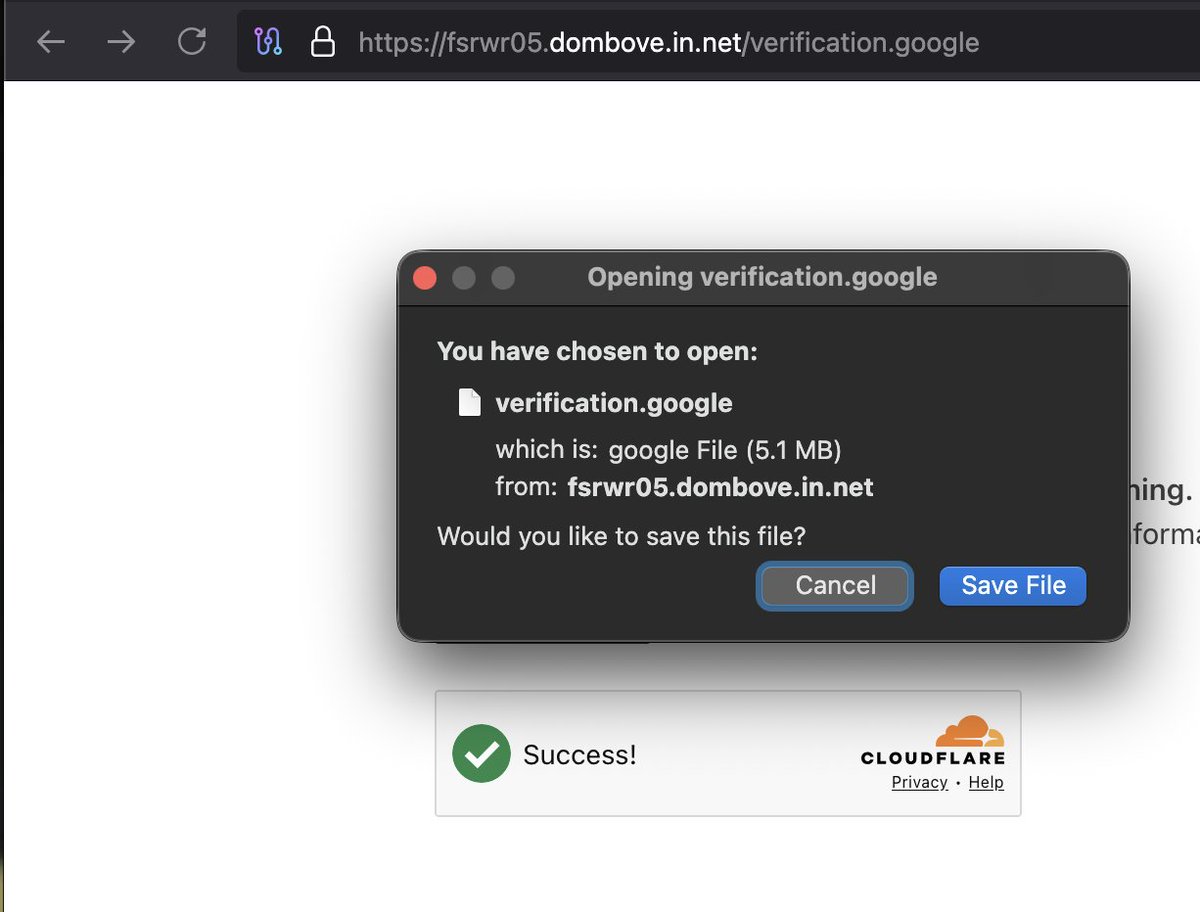 Shanholo tweet media
