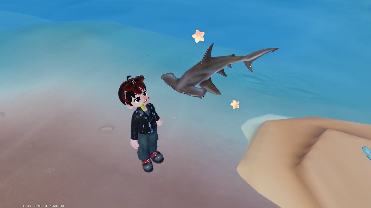 Kaizer aja. tweet media