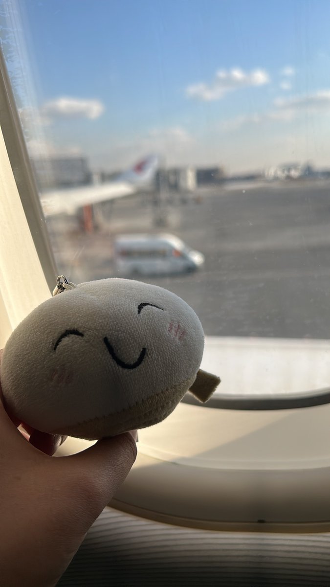 ぽち二等兵 tweet media